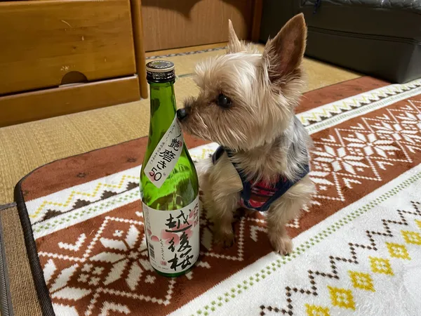 なる